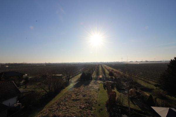 Aublick auf Apfelfelder vom DG