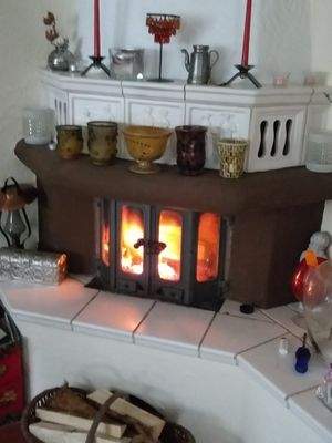 3. Whg. EG Anbau Kamin im Wohnzimmer