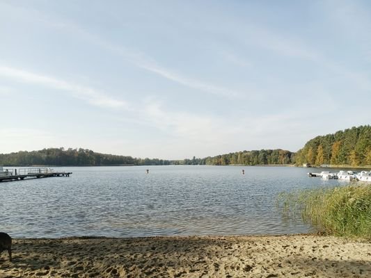 Haussee Strand.jpg