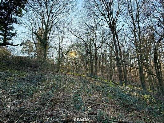 Grundstück_Eselstiege 