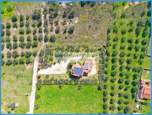 76401390c4e84e25baedbb1f496b5f51-original