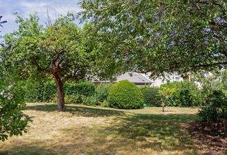 Garten 3