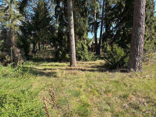 Blick auf das Grundstück