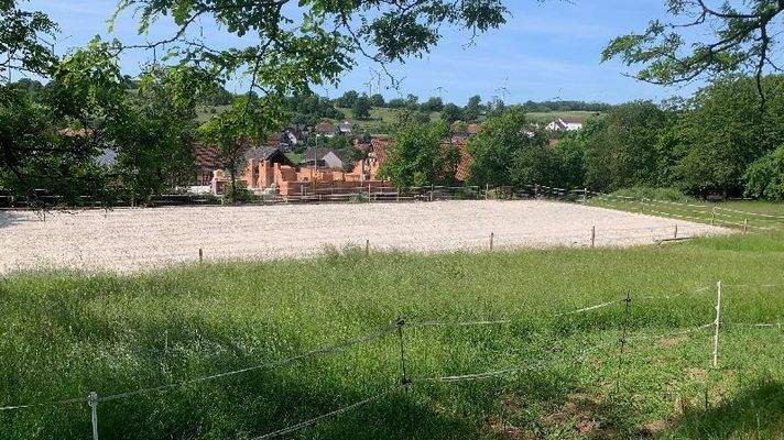 Der Reitplatz mit Weide