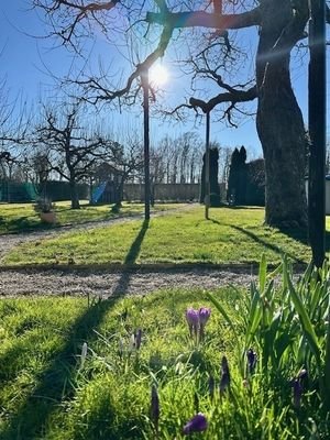 viel Platz und viel Grün