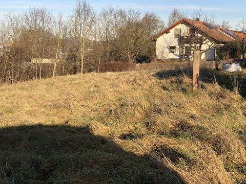 Metzingen Grundstücke, Metzingen Grundstück kaufen