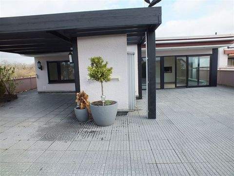 Nauheim Wohnungen, Nauheim Wohnung kaufen