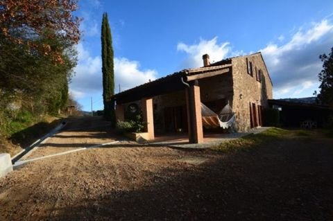 Massa Marittima Häuser, Massa Marittima Haus kaufen