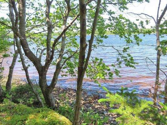 Cape Breton - Shaw Lake - 2,7 Hektar großes Grunds