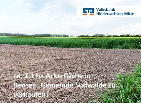 Sudwalde / Bensen Bauernhöfe, Landwirtschaft, Sudwalde / Bensen Forstwirtschaft