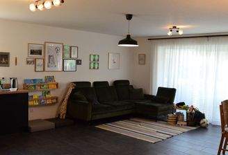 Wohnzimmer / Wohnküche