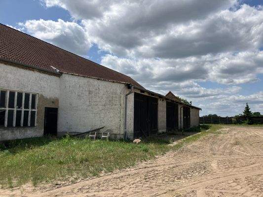 20250619_115508787_iOS