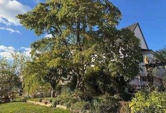 Garten mit Sonnen- und Schattenplätzen