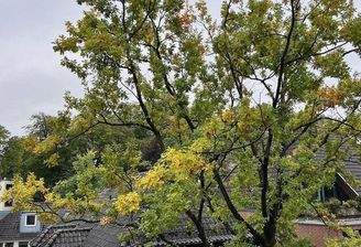 Blick von der Terrasse