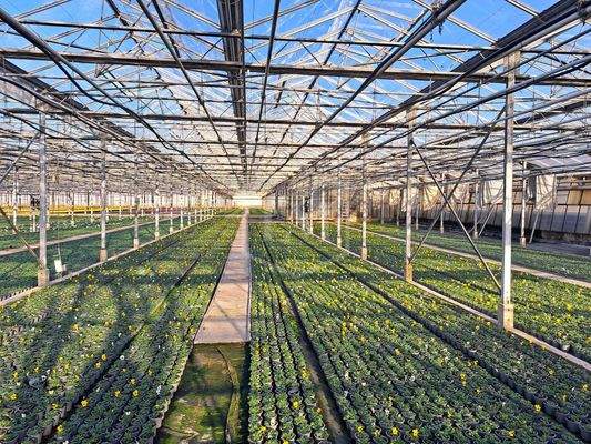 Glasgewächshäuser 3 &amp; 4