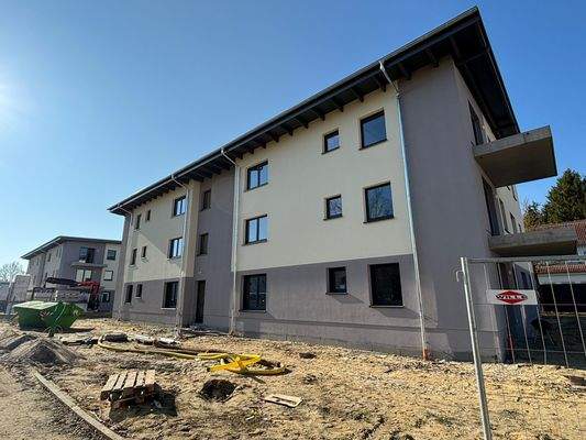 WhatsApp Image 2026-03-19 at 14.31.35.jpeg