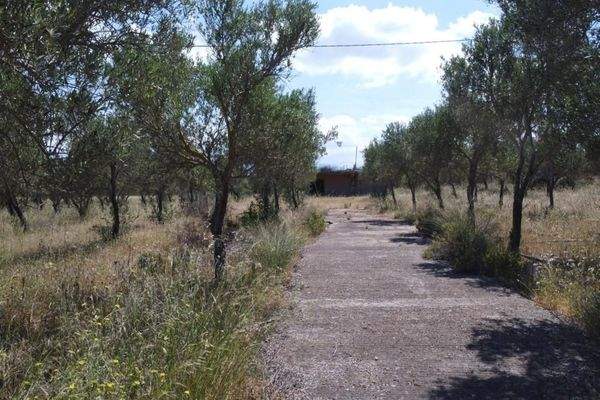 Kreta, Mouzouras: Flaches Grundstück mit Panoramablick zu verkaufen