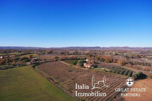 Schöne helle Villa in herrlicher Lage mit Türmchen, Pool, Weinberg und Olivenhain