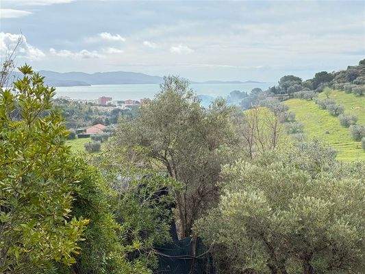 Ausblick aufs Meer und Olivenhain