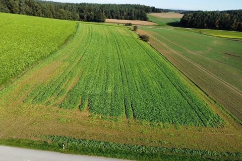 Reisbach Bauernhöfe, Landwirtschaft, Reisbach Forstwirtschaft