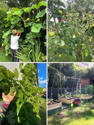 Grüne Oase mit Obst und Gemüse