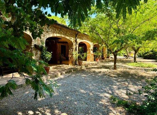 IMG_3746 - Copia.JPEG