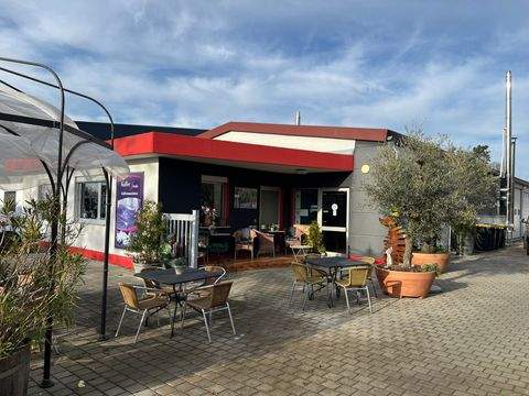 Neuenburg am Rhein Halle, Neuenburg am Rhein Hallenfläche