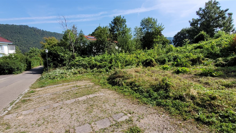 Badenweiler Grundstücke, Badenweiler Grundstück kaufen