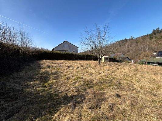 Teilansicht vom Baugrundstück