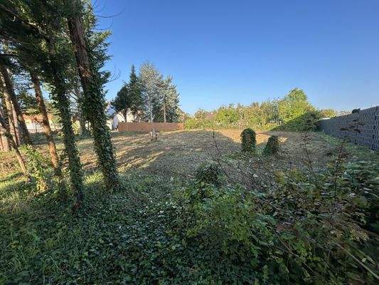 Blick auf das Grundstück 3