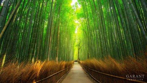 Karlsruhe Grundstücke, Karlsruhe Grundstück kaufen