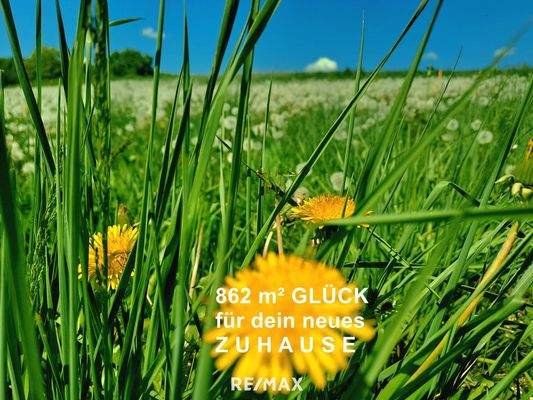 862 m² GLÜCK