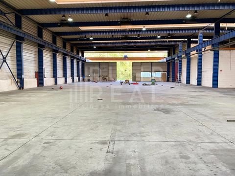 Meerbusch Halle, Meerbusch Hallenfläche