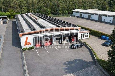 Lünen Halle, Lünen Hallenfläche