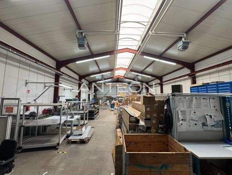 Dormagen Halle, Dormagen Hallenfläche