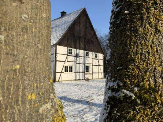 Außenbild im Winter