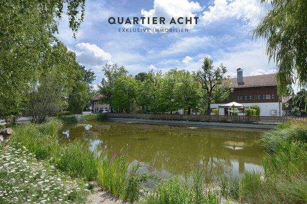 QVIII - DER DORF- TEICH