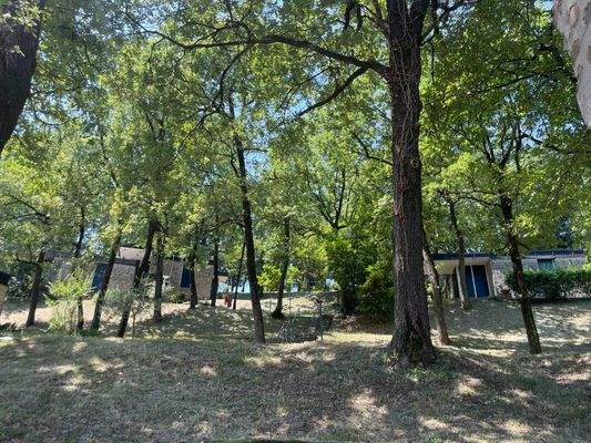 IMG_5076 (Grande).JPG