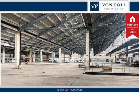 Ilmenau Halle, Ilmenau Hallenfläche