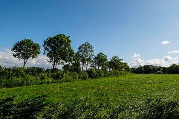 Wunderschöne Landschaft