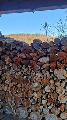 WhatsApp Image 2026-01-07 at 13.18.23.jpeg