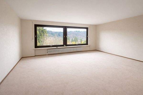 Wohnzimmer mit Panoramablick.jpg