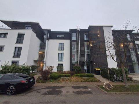 Gottmadingen Wohnungen, Gottmadingen Wohnung mieten