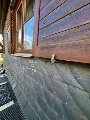 Detailaufnahme