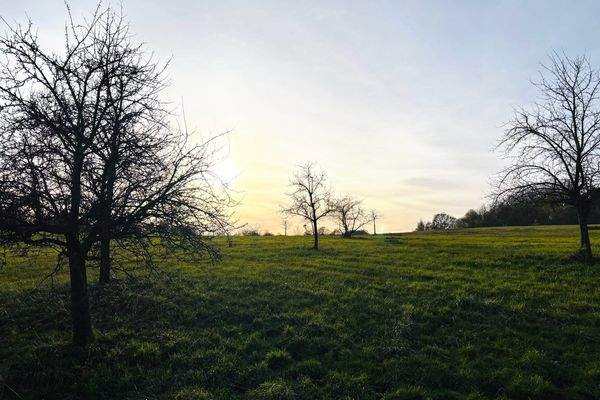 Sonnenuntergang am Ortsrand