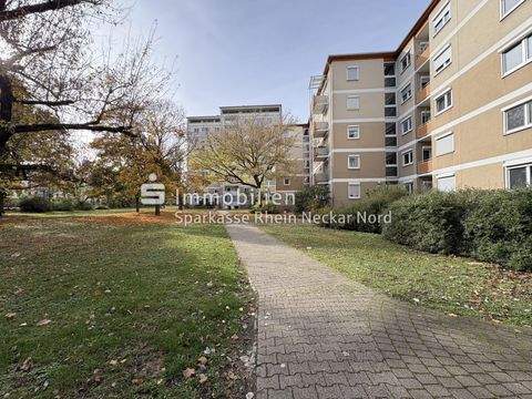 Ludwigshafen Wohnungen, Ludwigshafen Wohnung kaufen