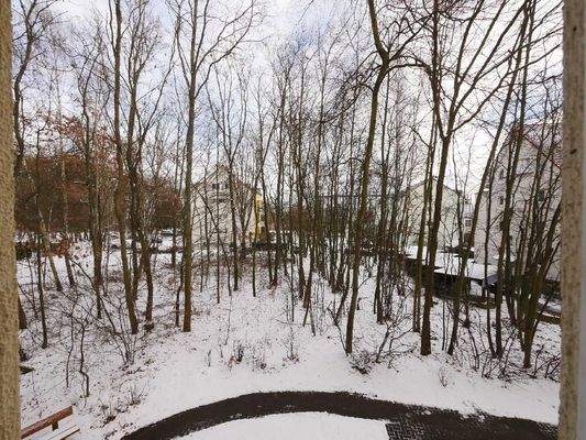  AUSBLICK aus dem BAD (Richtung Osten)