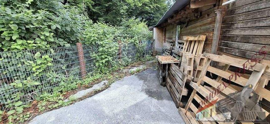 20250725_111054_resized