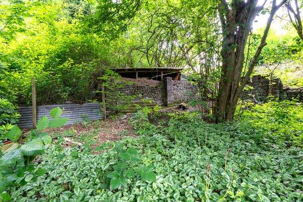 weitere Ansichten Garten