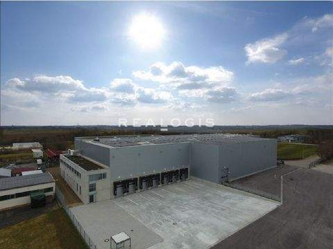 Sulz Halle, Sulz Hallenfläche